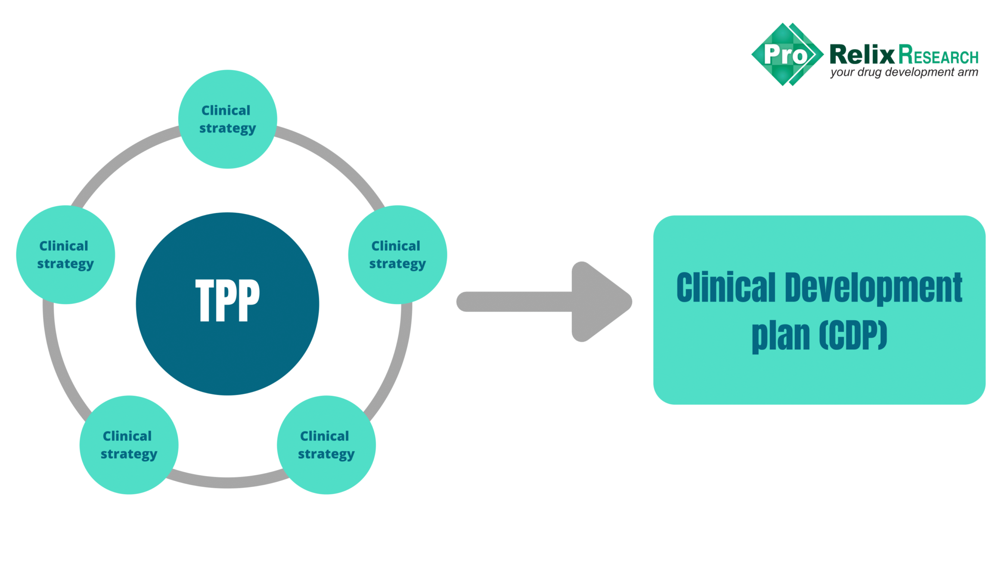 Drug Development Strategy For Us Fda Prorelix Research