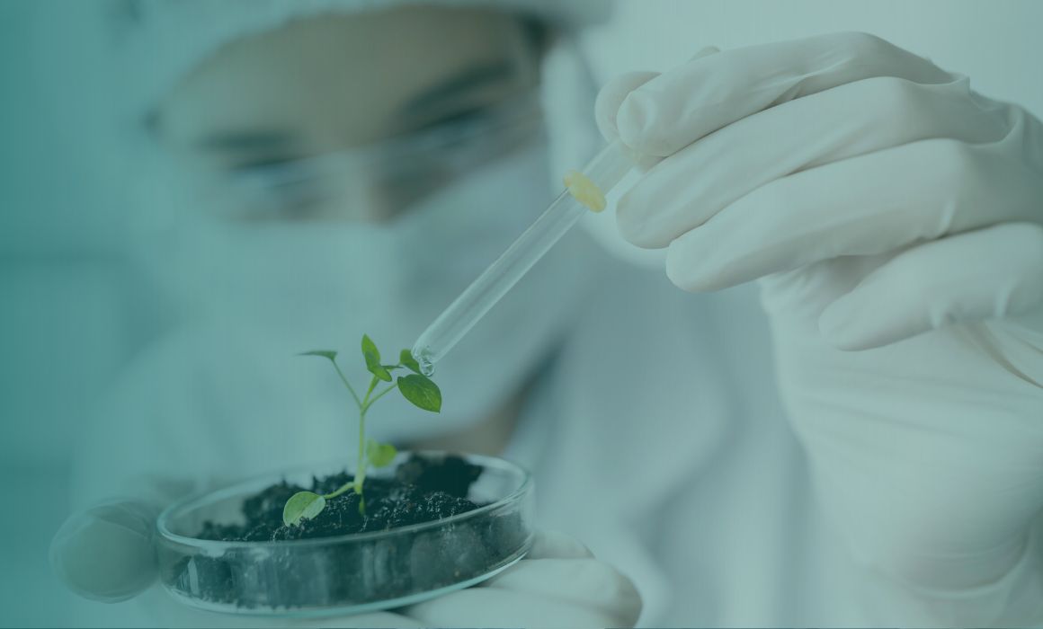 Validating the Herbal, Dietary Supplement & Nutraceutical Innovative Treatments by Clinical Trials