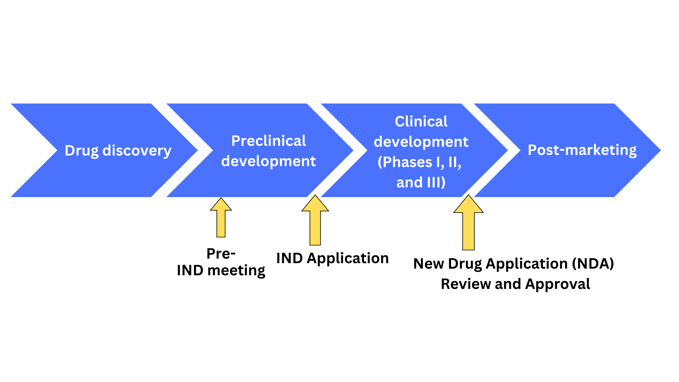 data presentation for fda submission in industrial pharmacy