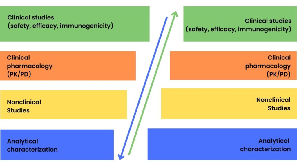 Product-development-phases-for-reference-biologicals-and-biosimilar-drugs