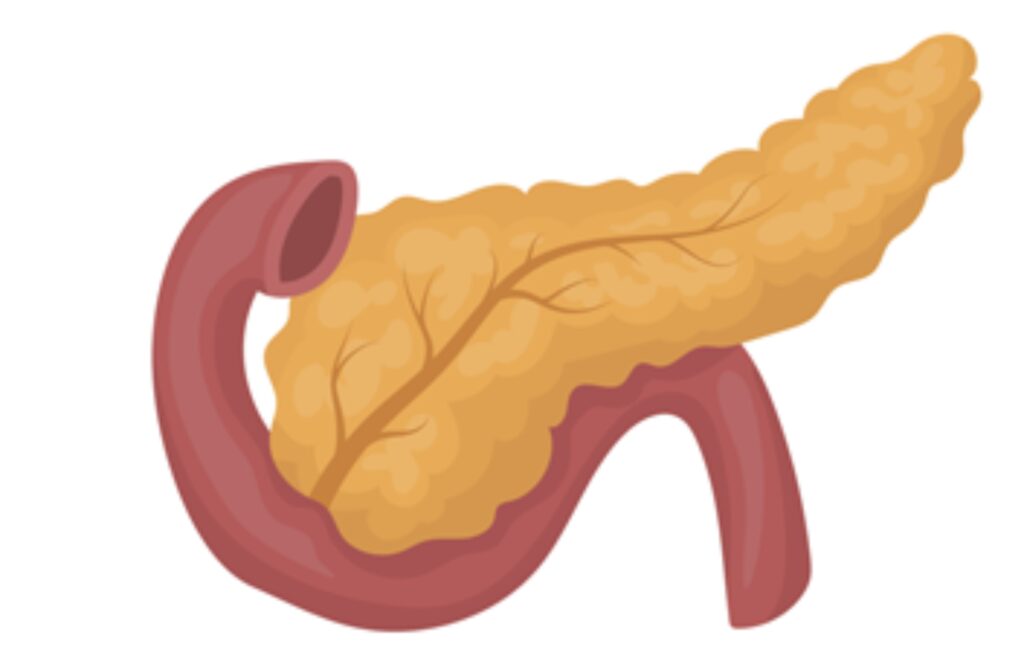 endocrinology or diabetology