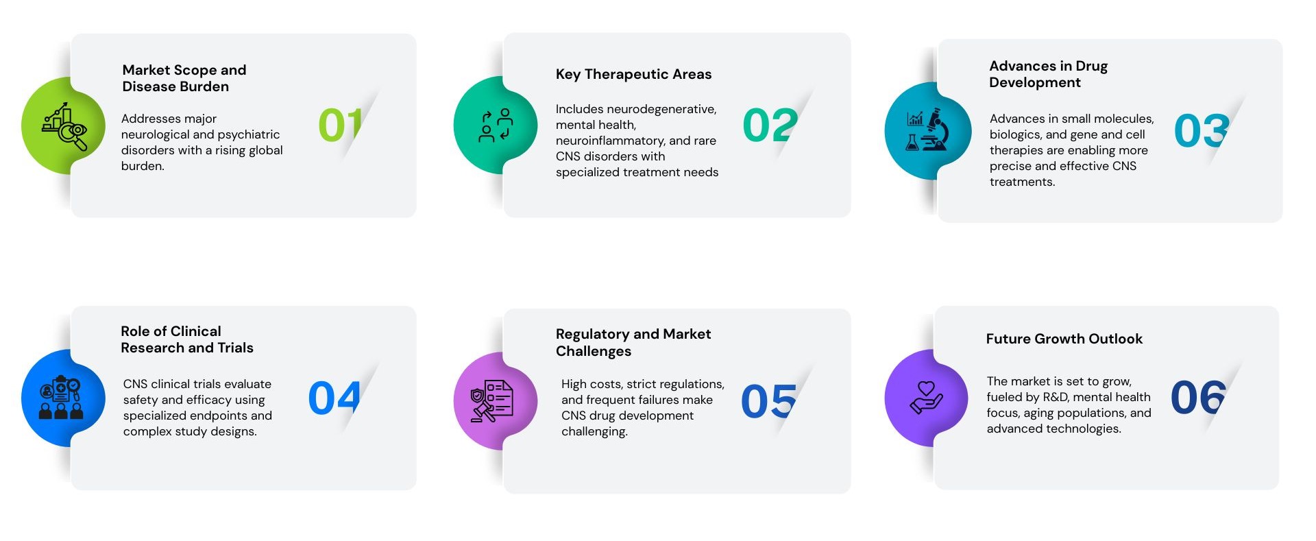 Central Nervous System Therapeutic Market