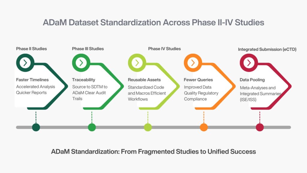 explore how Adam standardization across phase II–IV studies enhances accuracy, compliance, and audit readiness.