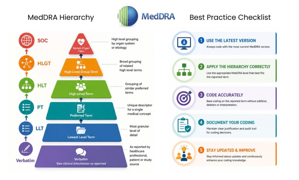 MedDRA hierarchy best practice checklist