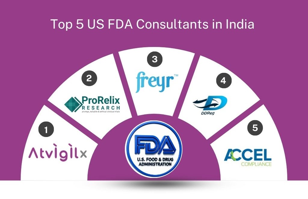 top 5 US FDA consultants in India
